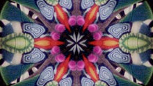 Load image into Gallery viewer, Kaleidoscope DVD