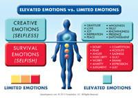 Load image into Gallery viewer, Banner Picture Cards~You Are the Placebo